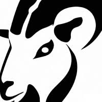 Capra Solutions Icon